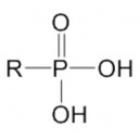  PL-HPA