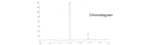 Fullerenes C60