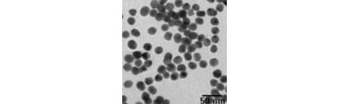 Gold Nanoparticles